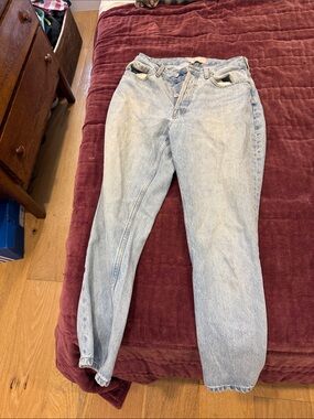 Everlane curvy 90s cheeky straight jean